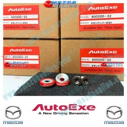 AutoExe LIMITED EDITION Titanium Licence Plate Bolt Kit A0020022