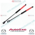 AutoExe Bonnet Hood Liftgate Gas Strut Kit fits 13-17 Mazda6 [GJ] MGJ2960