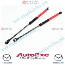 AutoExe Bonnet Hood Liftgate Gas Strut Kit fits 2015-2023 Mazda CX-3 [DK] MDK2960