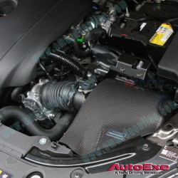 AutoExe Carbon Fibre Air Intake System fits 13-18 Mazda3 [BM,BN] 2.0L SkyActivG MBM9580