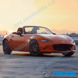 Miata 30th Anniversary Genuine Mazda Rays ZE40 RS30 Forged Alloy Wheels